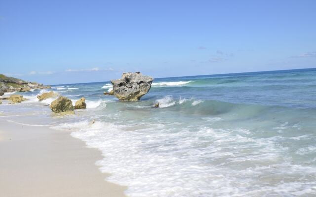 Amigo Rental Isla Mujeres