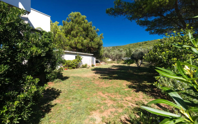 Studio Point of view