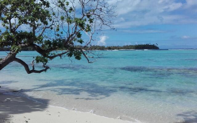 B&B Nature Song Island