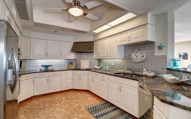 Beach Palms 504