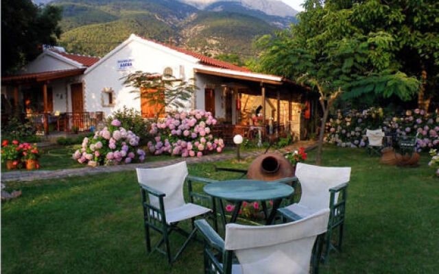 Alekas Studios