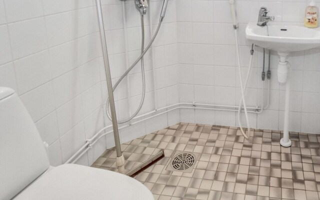 Koivu Vesala in Vesala