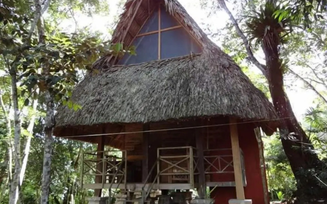 Santuario Zona Lacandona