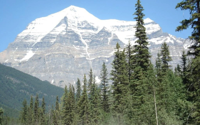 TimberWolf Lodge B&B