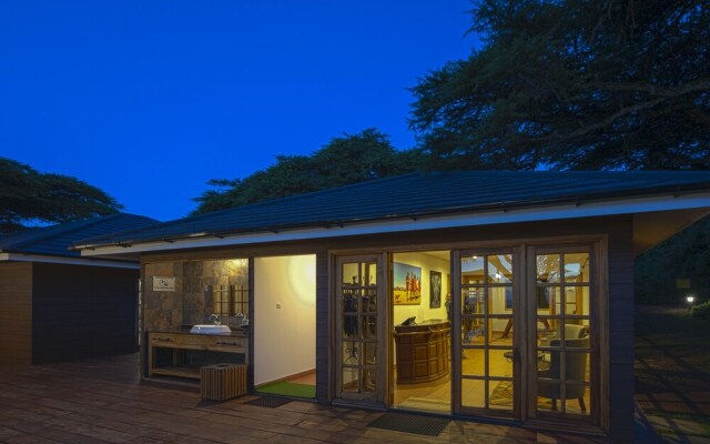 Ngorongoro Lions Paw