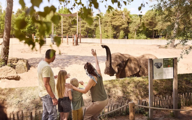Beekse Bergen Bungalowpark