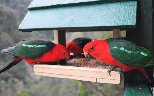Wild Cherry Bed and Breakfast