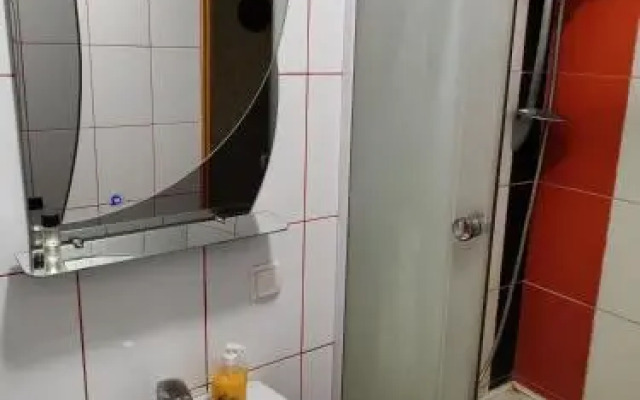 Apartment on Peremohy Street 8