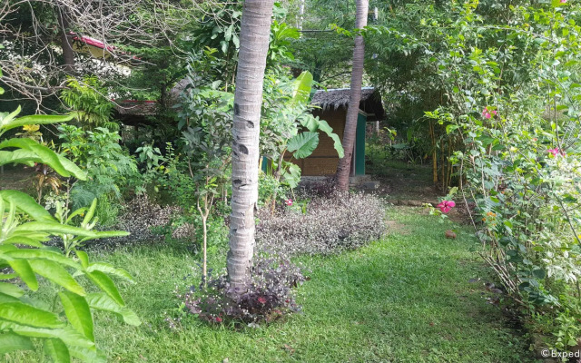 Mangrove Resort