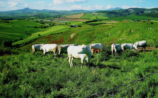 Farmhouse in Proceno With Pool and Hill Views