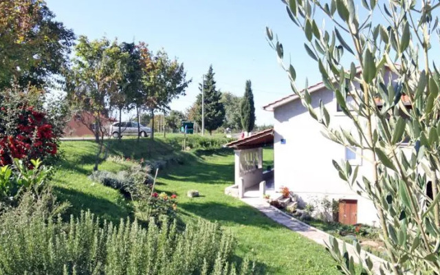 Apartment Vojskovic 101