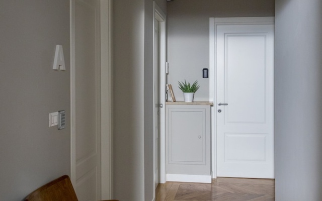 Rapanus Suites