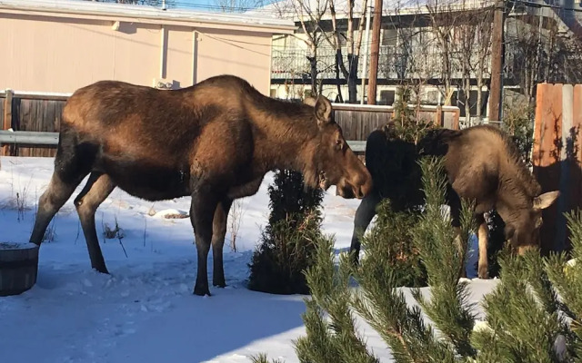 Arctic Adventure Hostel