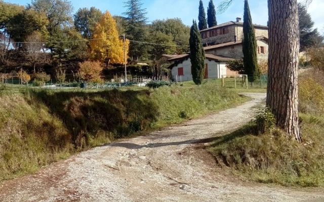 Tana Del Tasso