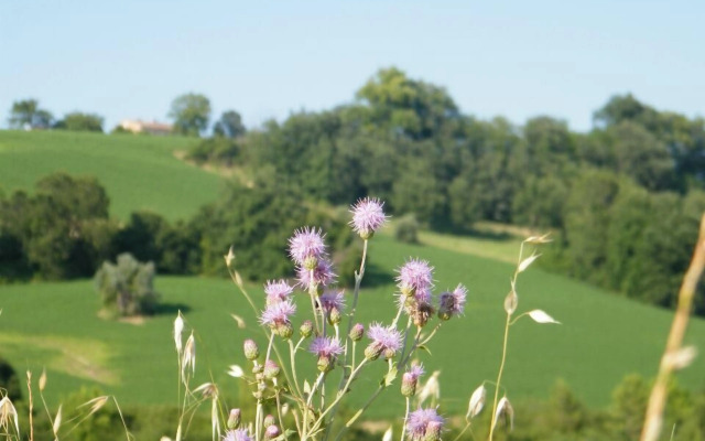 Agriturismo Biologico la Casa degli Gnomi