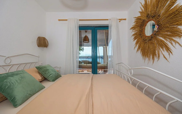 Villa Cikas Palmhouse