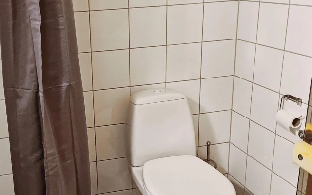 8 Person Holiday Home in Rauland