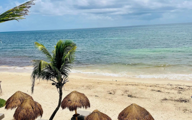 La conchita Tulum
