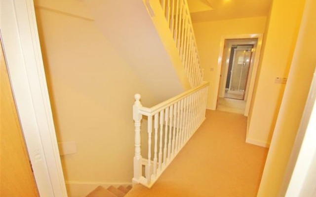 Saleem Holiday House