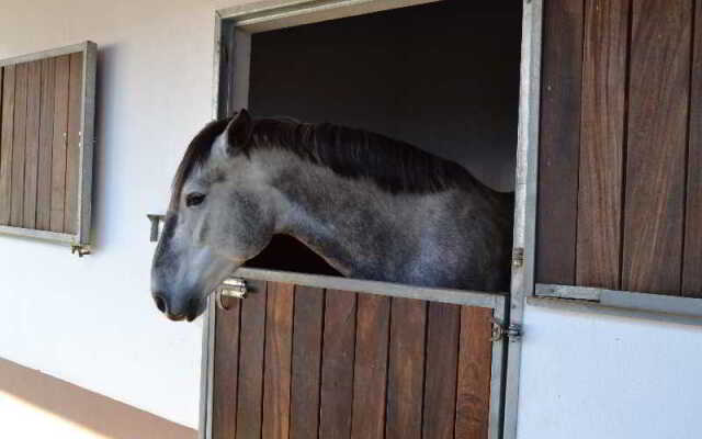 Solar do Espirito Santo - Turismo Equestre