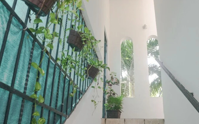 Navieros Rooms Bacalar