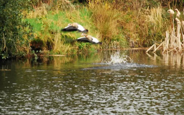 B&B De Vijvertuin Drenthe