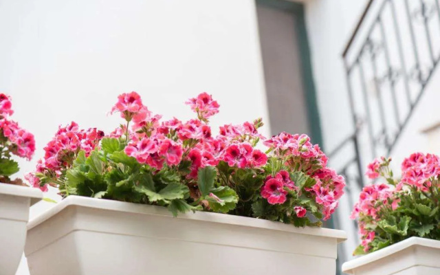 B&B Il Cortiletto