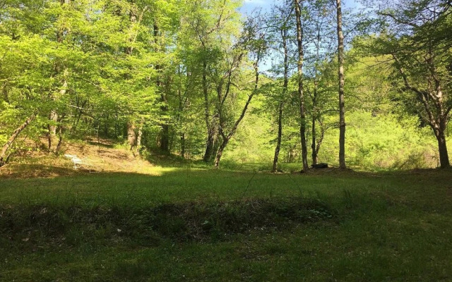 Tentrr - Sands Creek Camp