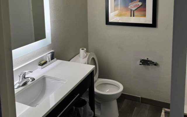 Gallus Stadium Park Inn, Ascend Hotel Collection