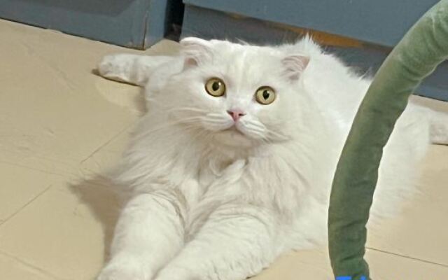 Xiaomi Apartment (Xiamen Gaoqi Airport)