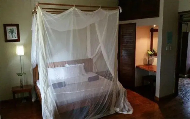 Surjios Guest House