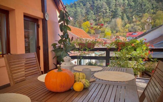 Victoria Gasthaus Rasnov - charming vacation house in Rasnov