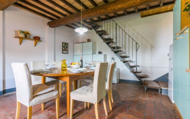 Giuggiolo - Giuggiolo 5 (PGG174)