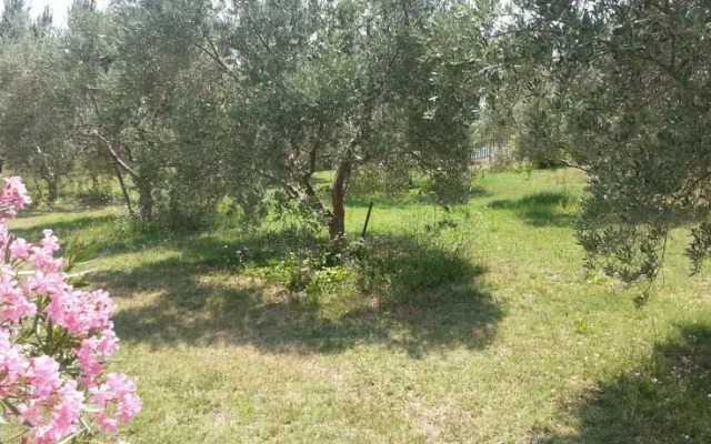 Les Maisons dEstelle