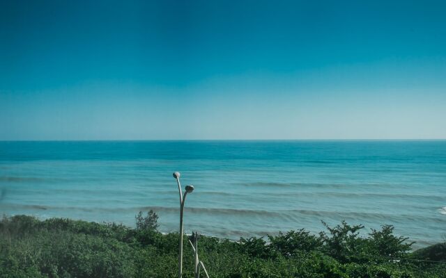 Ocean Paradise