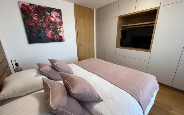 Downtown apartment Darinka