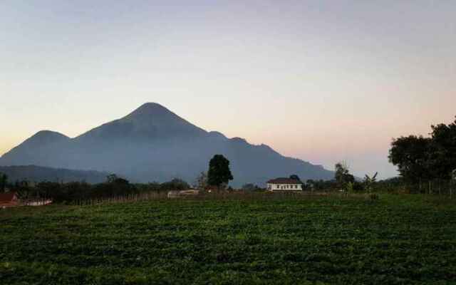 OYO 309 Avila Ketapan Rame Hotel