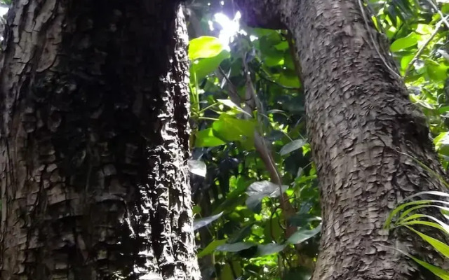 YOISAMA Sunrise Beach House