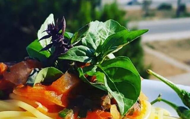Blue Life Hotel - Restaurant