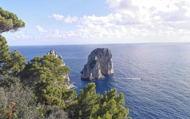 Suite Saint Michael