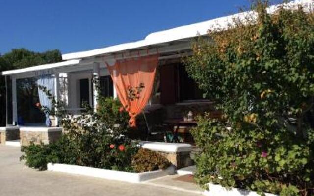 Liana Studios