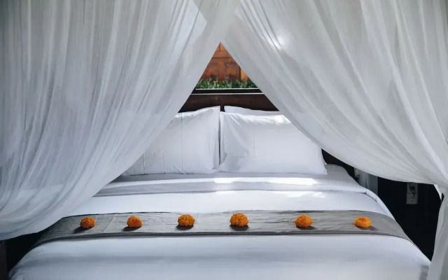 White Tortoise Eco Villa's