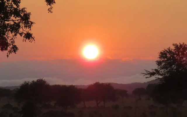 Mikumi Wildlife Camp