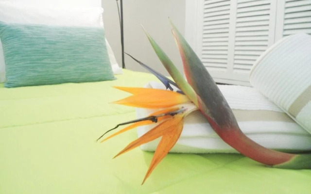 Sunny Apartment with pool by the sea