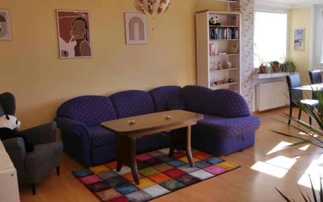 Großzügige Wohnung mit Herkulesblick nähe Uni