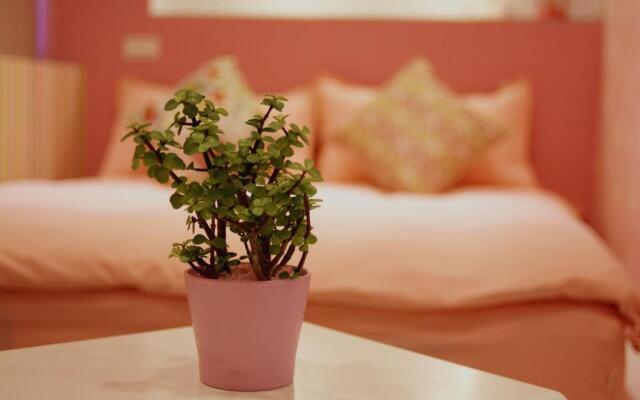 Camouflage Guest House