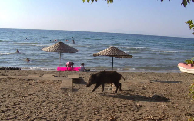 Panion Park Residence