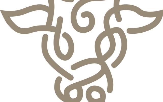 Lovely 1-bed Loft in Newport