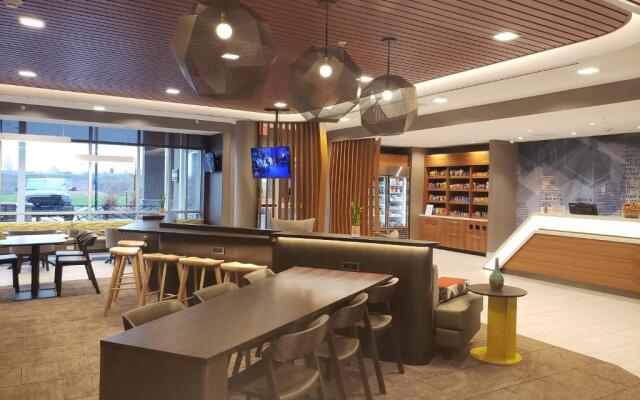 SpringHill Suites by Marriott Wixom Novi