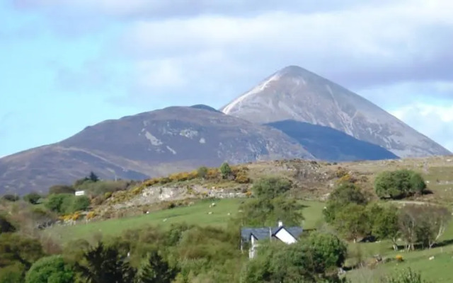 Rockville Bed & Breakfast